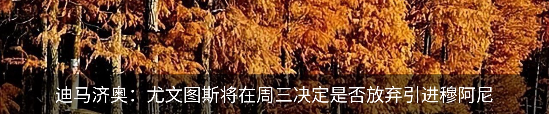 资讯动态